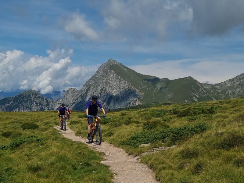 Alpenberquerung Fahrrad: auf Rennrad-Transalp-Strecken unterwegs: ULPtours