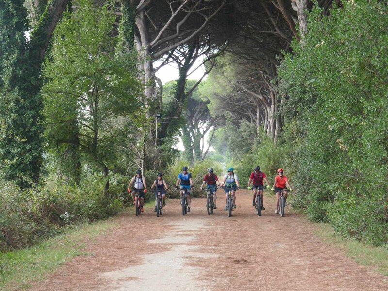 Fahrradreisen Mountainbike Toskana: ULPtours